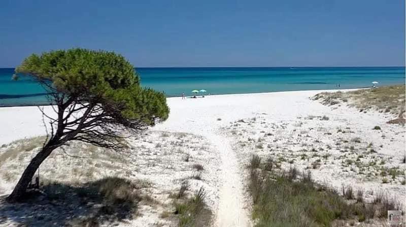 דירות לה קאלטה Le Residenze Del Mare Monolocale N2 מראה חיצוני תמונה